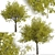 Arizona Ash Trees: Lush and Lifelike Pair! 3D model small image 2