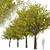 Arizona Ash Trees: Lush and Lifelike Pair! 3D model small image 4