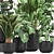 Exotic Plant Collection: Indoor & Outdoor Varieties 3D model small image 3