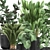 Exotic Plant Collection: Indoor & Outdoor Varieties 3D model small image 4