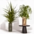 Green Oasis: Indoor Plants Set 3D model small image 3