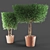  Tall and Elegant Plant Sculptures 3D model small image 2