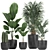 Exotic Plant Collection in Black Pots 3D model small image 1