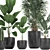 Exotic Plant Collection in Black Pots 3D model small image 2