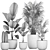 Exotic Plant Collection in Black Pots 3D model small image 5