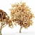 Exquisite African Olive Tree: Stunningly Detailed & Versatile 3D model small image 5