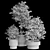 Modern Indoor Plant: 3D Model with 3Dmax & Vray 3D model small image 5