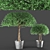  Elegant Poly Plant Duo 3D model small image 1