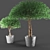  Elegant Poly Plant Duo 3D model small image 2