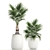 Exotic Palm Collection 3D model small image 1