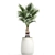 Exotic Palm Collection 3D model small image 4