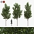 American Linden Trees Set 3D model small image 5