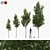 American Linden Tree Kit: Young & Realistic 3.2m - 5.9m 3D model small image 5