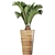 Tropical Oasis: Palm Collection 3D model small image 2