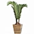 Tropical Plants Collection: Areca, Chamaedorea, Chrysalidocarpus, Howea, Rhapis 3D model small image 2