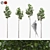 American Linden Tree Set - 4 Young Tilia Americana 3D model small image 1