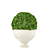  Elegant Boxwood Set: Perfect for 3D Rendering 3D model small image 5