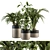 Botanical Bliss Set: 136 Indoor Plants 3D model small image 1