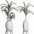 Tropical Palms Collection 3D model small image 4