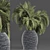 Tropical Oasis Palms Collection 3D model small image 1