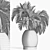 Tropical Oasis Palms Collection 3D model small image 4