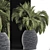 Tropical Oasis Palms Collection 3D model small image 5