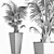 Tropical Plant Collection 190 3D model small image 5