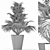 Exotic Plants Collection: Sabal Minor, Rhapidophyllum Hystrix & More 3D model small image 5