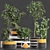 Exotic Mini Bonsai Collection: Sageretia Theezans 3D model small image 1