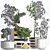 Exotic Mini Bonsai Collection: Sageretia Theezans 3D model small image 3