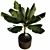 Tropical Joy: Banana Palm in Pot 3D model small image 2