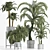 Tropical Palms Collection 3D model small image 1