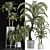 Tropical Palms Collection 3D model small image 2
