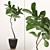 Tall Fiddle Leaf Fig Tree 3D model small image 1