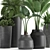 Exotic Plant Collection | Banana Palm, Ravenala, Strelitzia | Black Pots 3D model small image 2