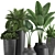 Exotic Plant Collection | Banana Palm, Ravenala, Strelitzia | Black Pots 3D model small image 3