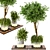 Natural Wood & Concrete Outdoor Plant Set 3D model small image 2