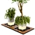 Natural Wood & Concrete Outdoor Plant Set 3D model small image 3