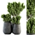 Greenery Oasis: Indoor Plant Set 3D model small image 1