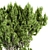 Greenery Oasis: Indoor Plant Set 3D model small image 3