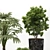 Outdoor Plant 09: 3dsmax2013, Corona, Obj, Textures 3D model small image 2