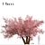 Sakura Tree: Exquisite Japanese Blossoms 3D model small image 1