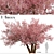 Sakura Tree: Exquisite Japanese Blossoms 3D model small image 2