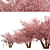 Sakura Tree: Exquisite Japanese Blossoms 3D model small image 3