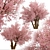 Sakura Tree: Exquisite Japanese Blossoms 3D model small image 4