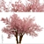Sakura Tree: Exquisite Japanese Blossoms 3D model small image 5