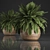 Tropical Plant Collection in Rattan Baskets 3D model small image 1