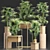 Exotic Palm Tree Collection 3D model small image 1