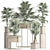 Exotic Palm Tree Collection 3D model small image 4