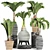 Tropical Palms Plant Collection 3D model small image 1